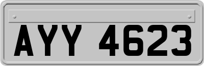 AYY4623