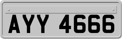 AYY4666