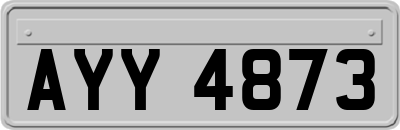 AYY4873