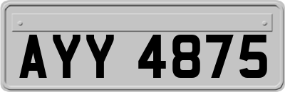 AYY4875