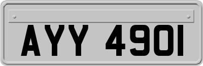 AYY4901