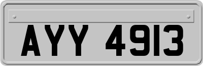AYY4913