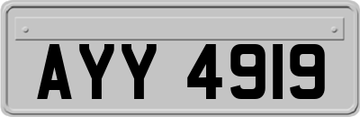 AYY4919