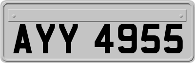 AYY4955