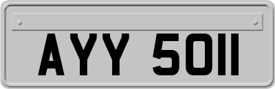 AYY5011