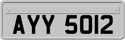AYY5012