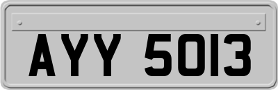 AYY5013
