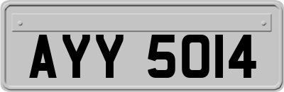 AYY5014