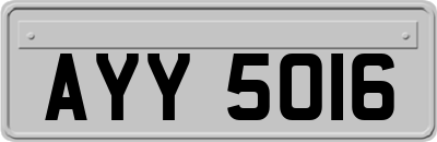 AYY5016