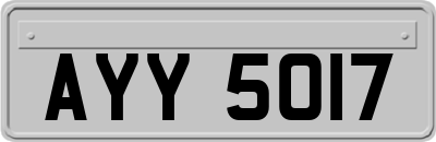 AYY5017