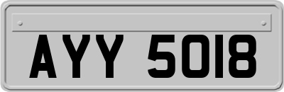 AYY5018