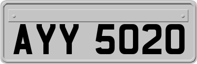 AYY5020