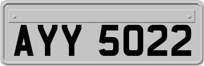AYY5022