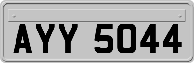 AYY5044