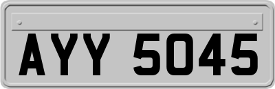 AYY5045