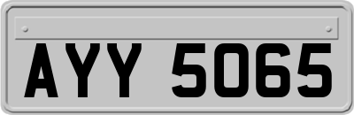AYY5065