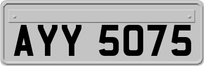 AYY5075