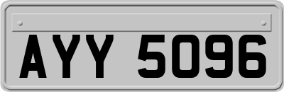 AYY5096