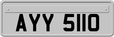 AYY5110