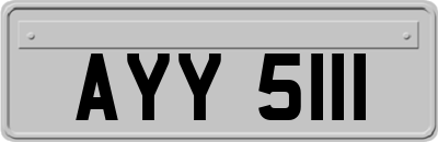 AYY5111