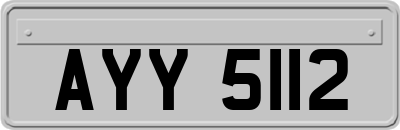 AYY5112