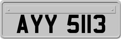 AYY5113