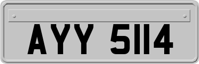 AYY5114