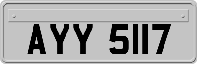 AYY5117