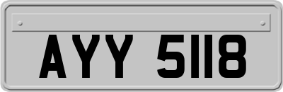 AYY5118
