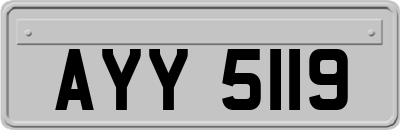 AYY5119