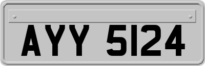 AYY5124