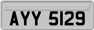 AYY5129