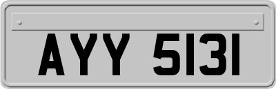 AYY5131