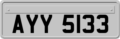 AYY5133