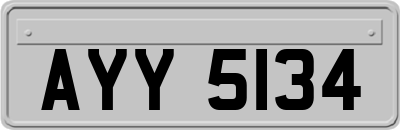 AYY5134