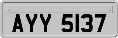 AYY5137