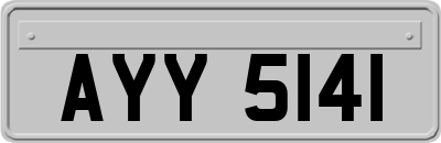 AYY5141
