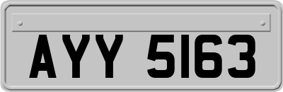 AYY5163