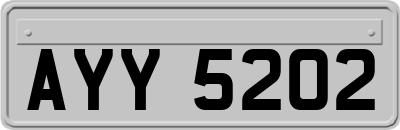 AYY5202