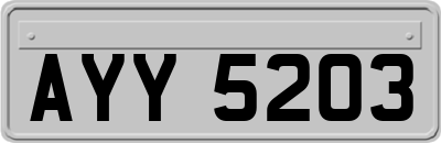 AYY5203