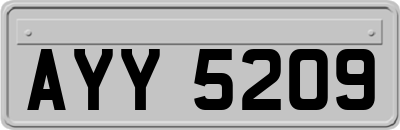 AYY5209