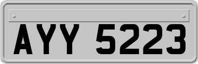 AYY5223
