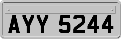 AYY5244