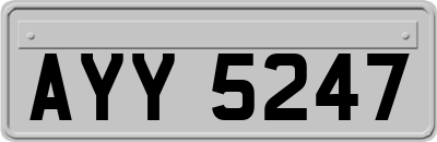 AYY5247