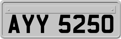 AYY5250