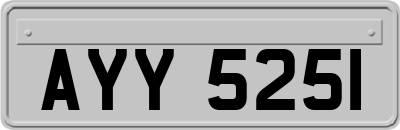 AYY5251