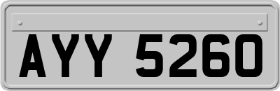 AYY5260