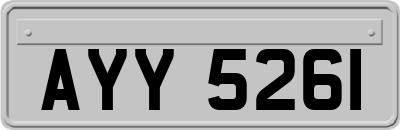 AYY5261