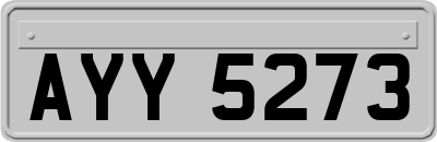 AYY5273