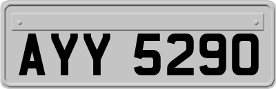 AYY5290